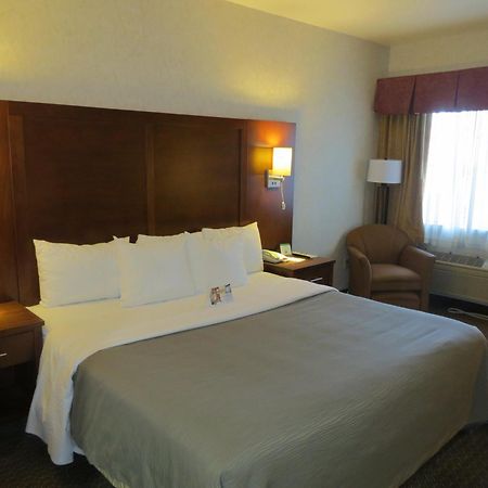 Comfort Inn San Jose International Airport Habitación foto